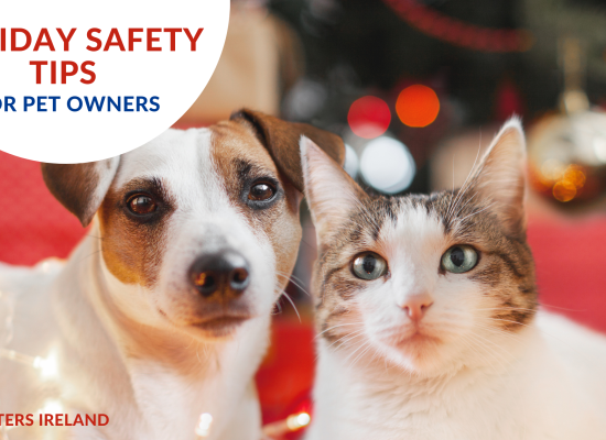 Holiday Safety Tips
