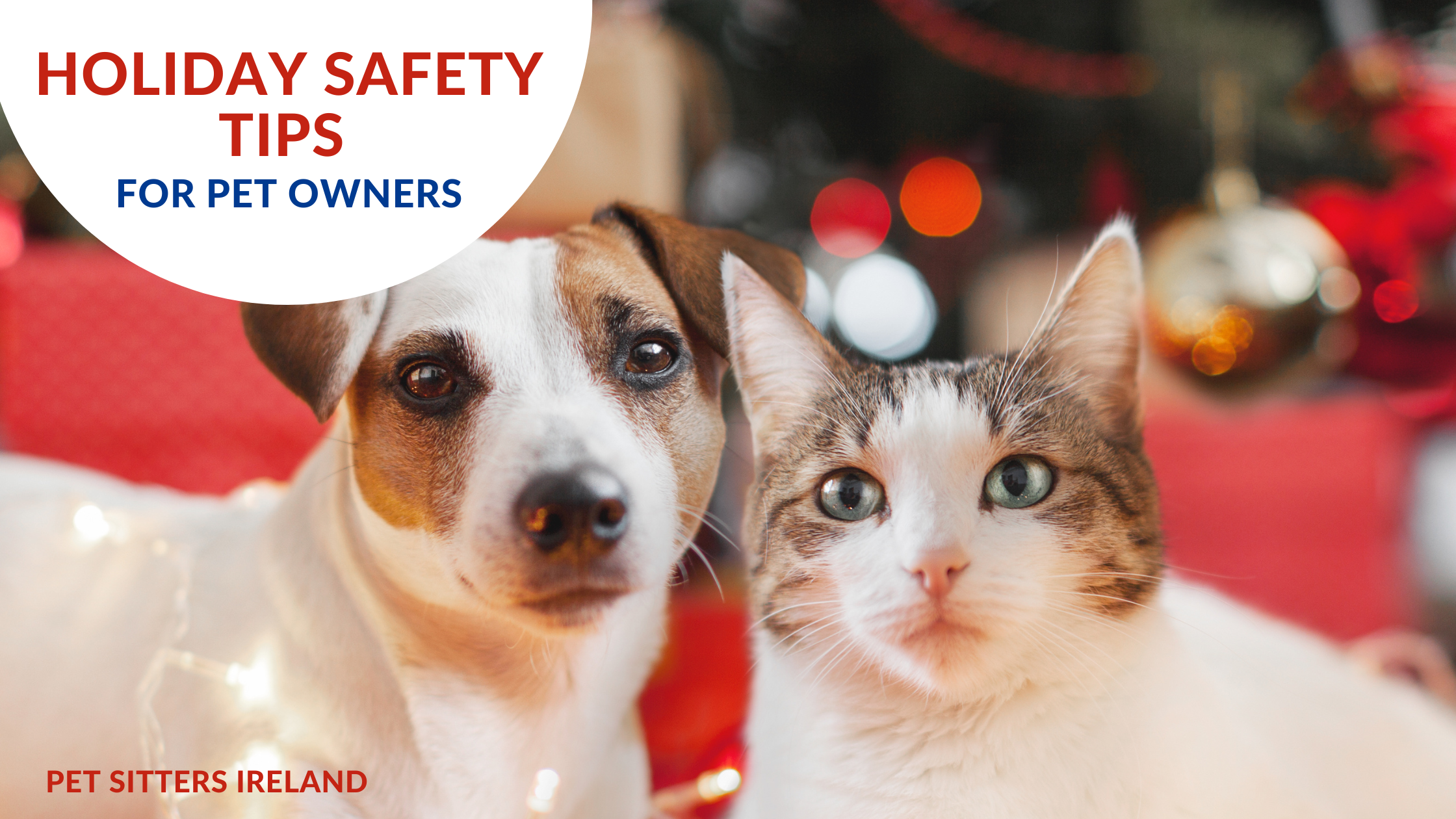 Holiday Safety Tips
