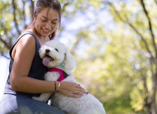 6 Things to Consider Before Getting Pet Insurance