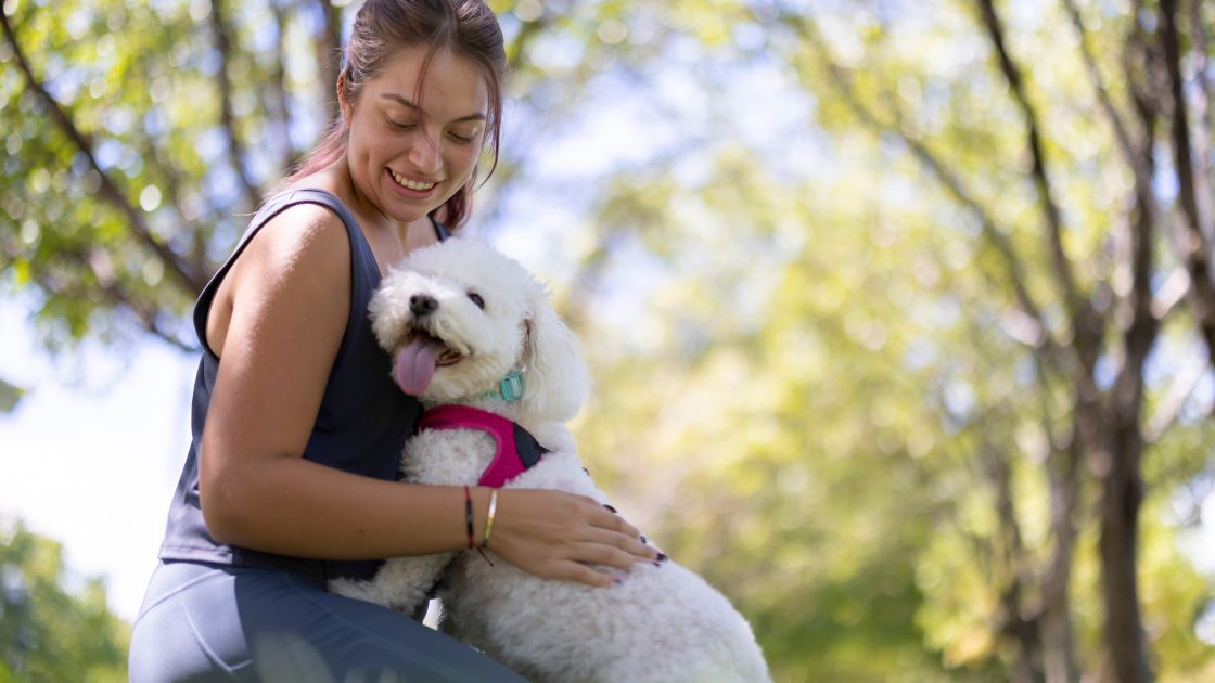 6 Things to Consider Before Getting Pet Insurance