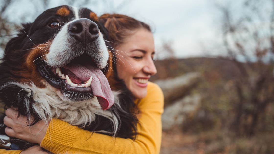 6 Things to Consider Before Getting Pet Insurance