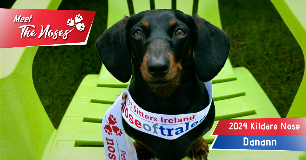 Kildare Nose of Tralee 2024