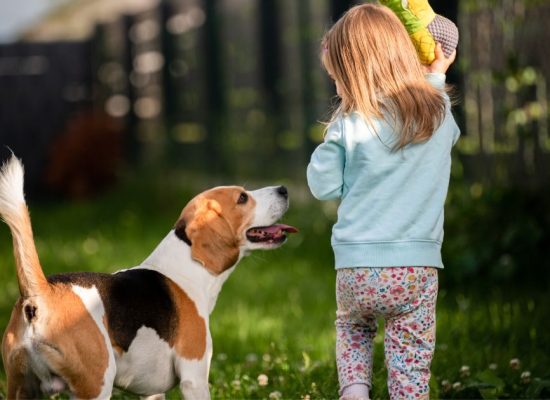 Why Your Dog Needs a Dog Walker When the Kids Go Back to School
