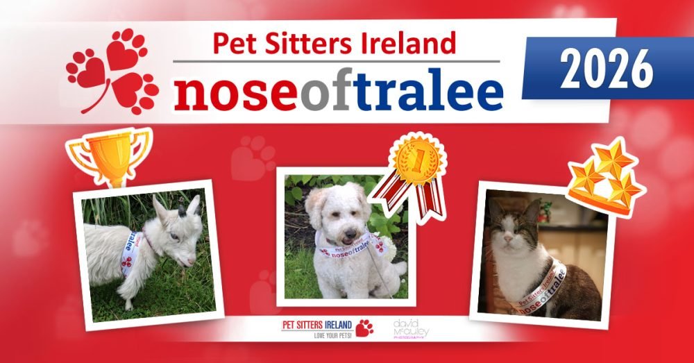 Nose of Tralee 2026