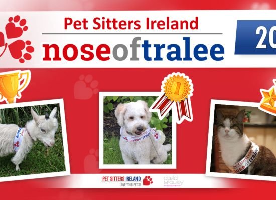 Nose of Tralee 2026