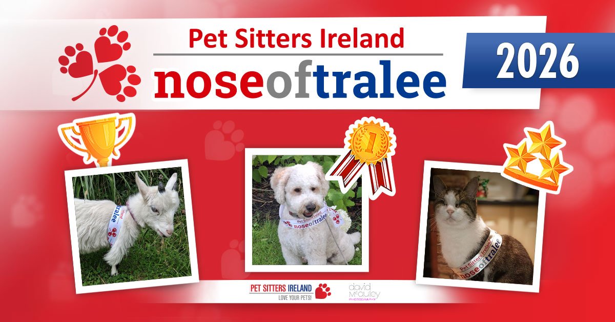 Nose of Tralee 2026